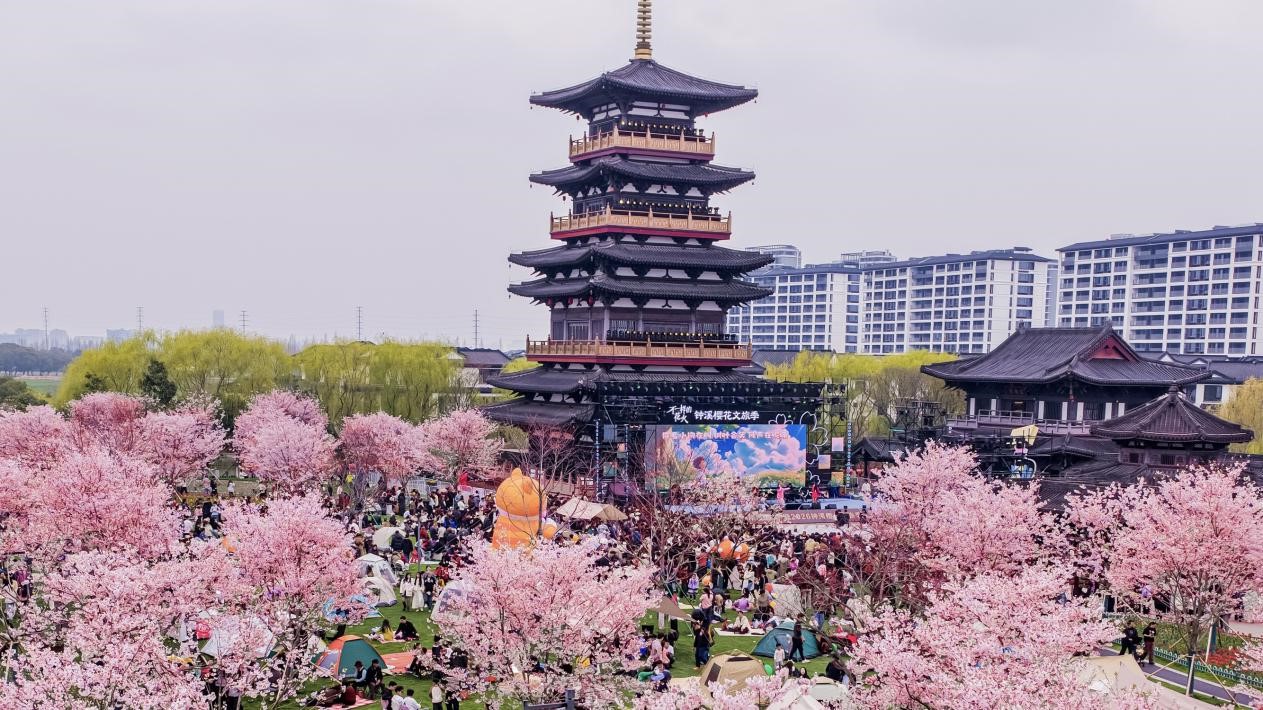 Zhongxi Cherry Blossom Park is seen on March 22, 2026./CGTN