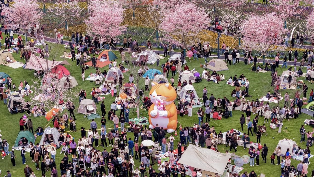 Zhongxi Cherry Blossom Park is seen on March 22, 2026./CGTN