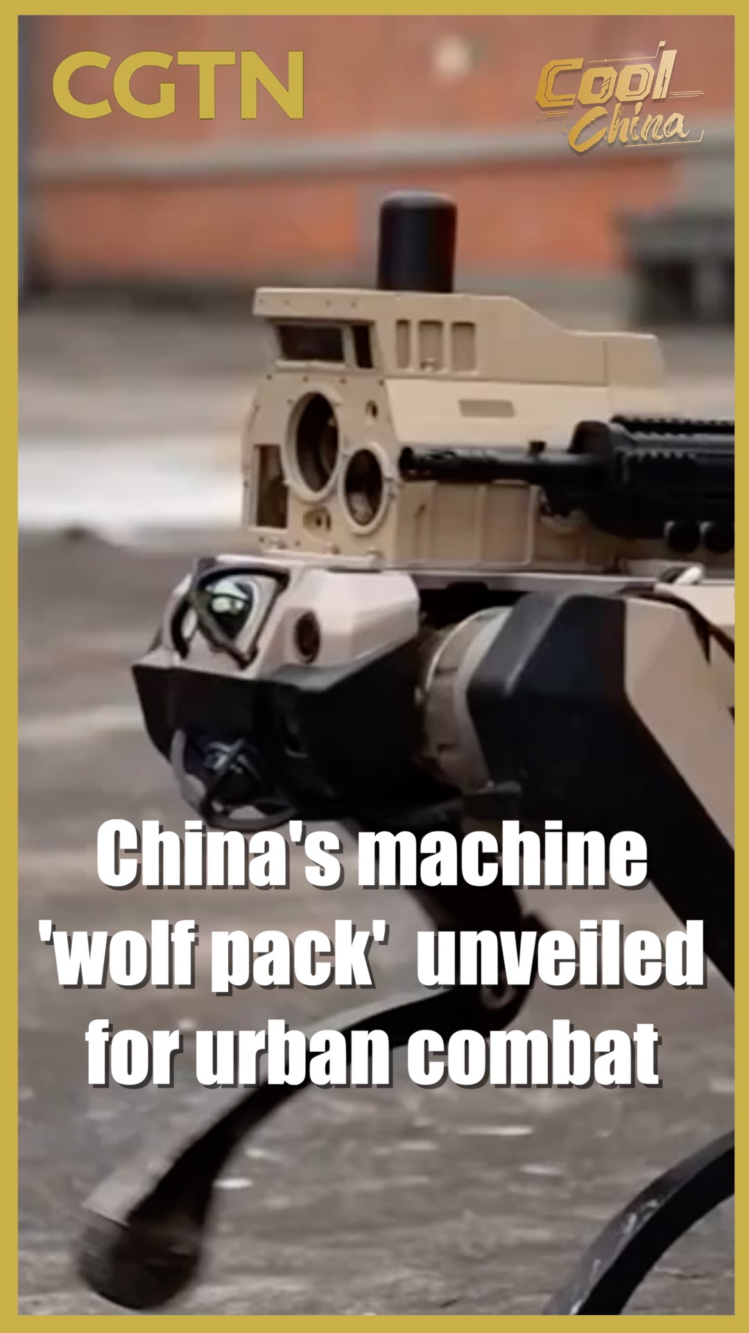 China's machine 'wolf pack'  unveiled for urban combat