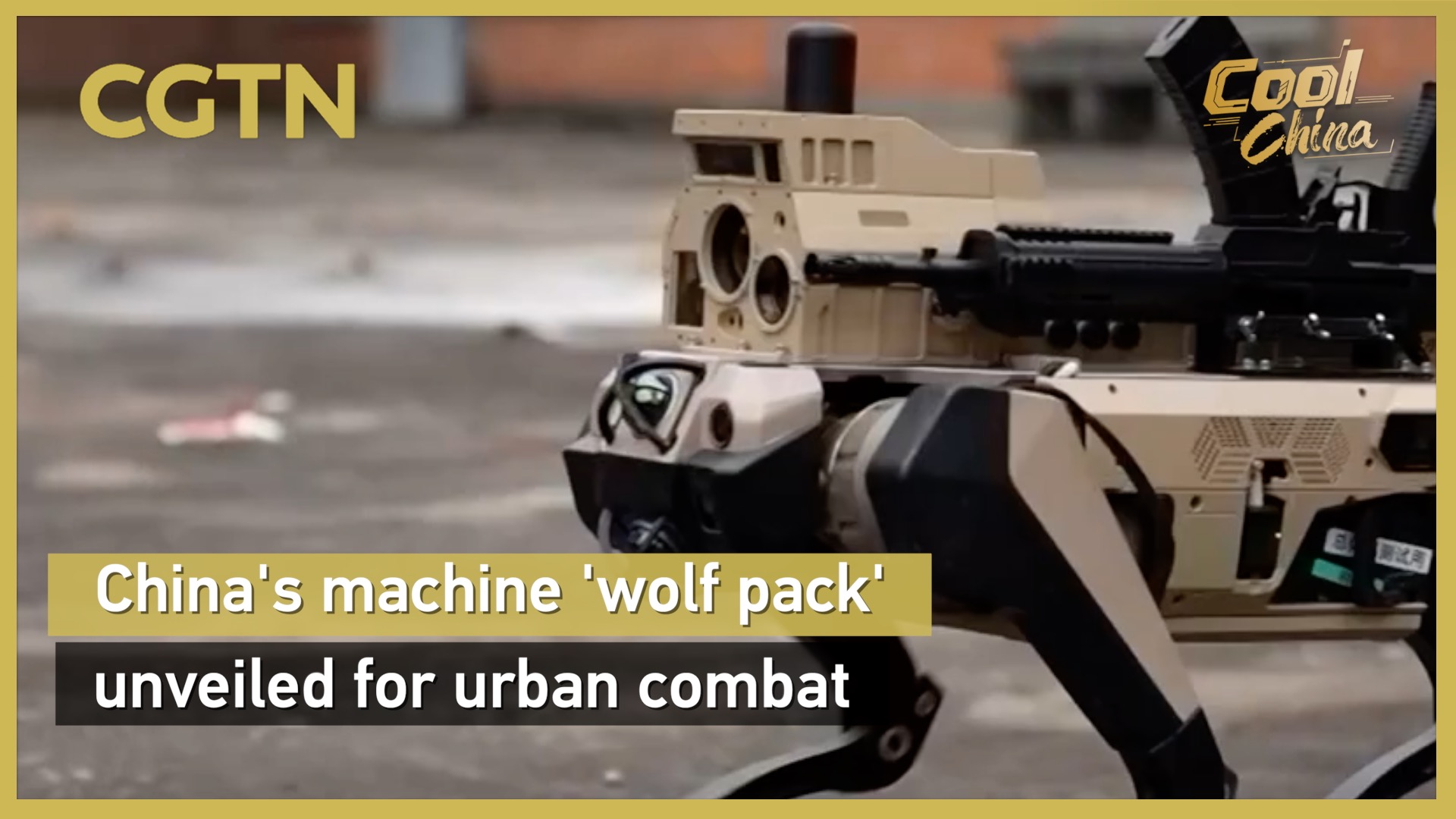 China's machine 'wolf pack'  unveiled for urban combat
