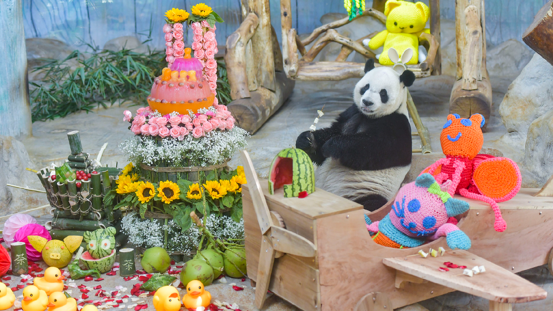 Live: Meet the giant pandas at Hainan Tropical Wildlife Park – Ep. 2