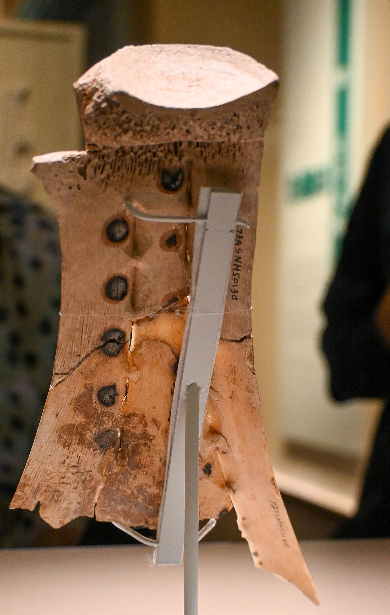 Oracle bones: How the Shang Dynasty communicated with heaven