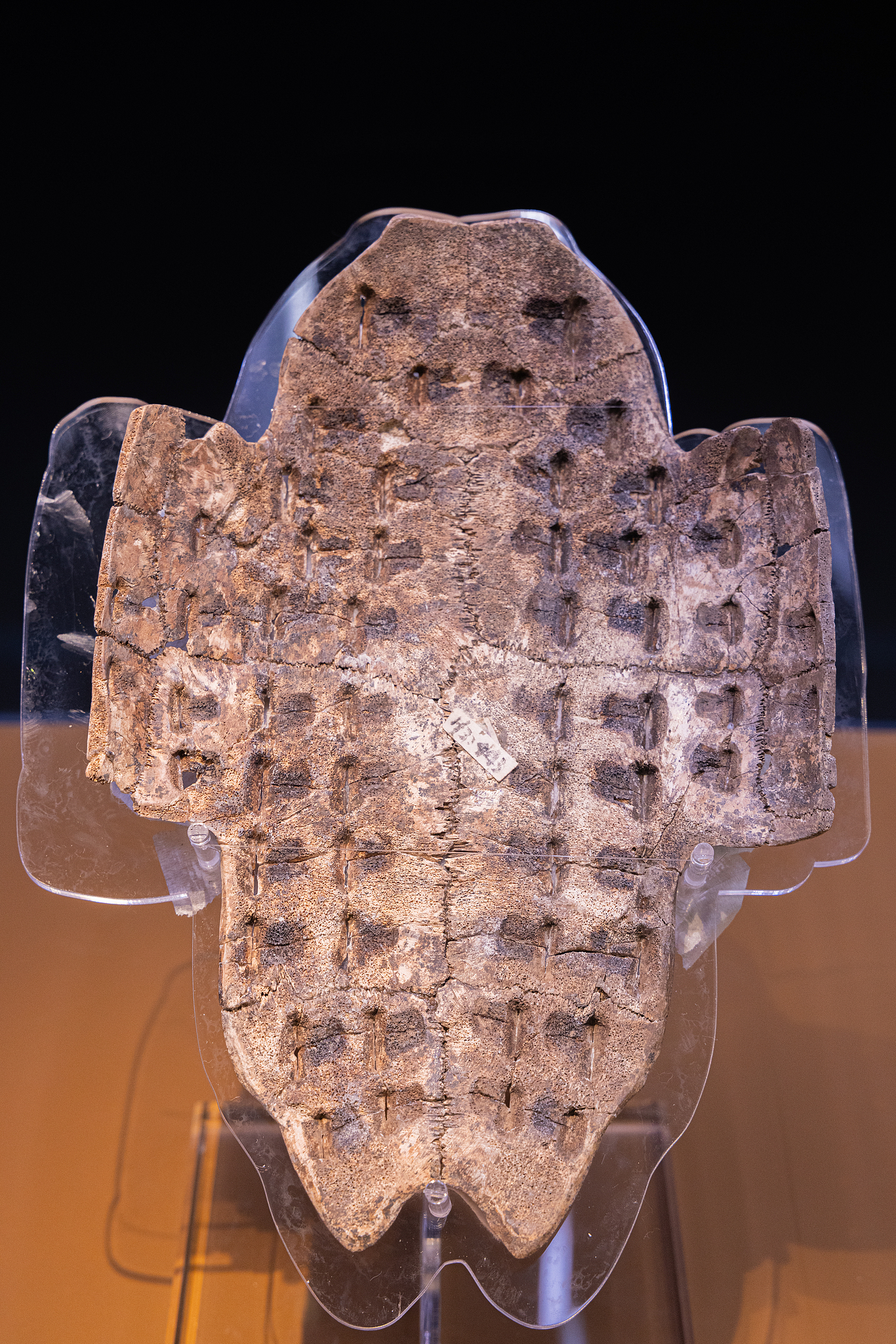 Oracle bones: How the Shang Dynasty communicated with heaven