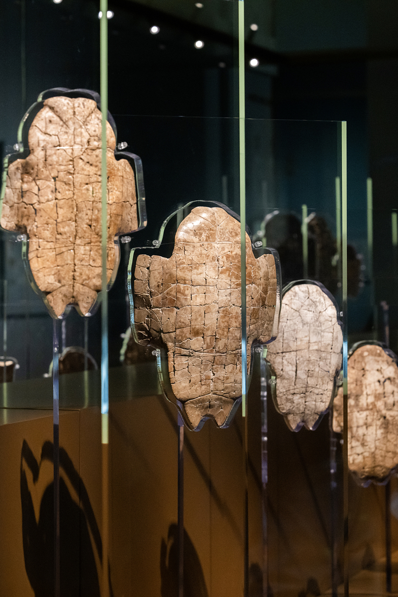 Oracle bones: How the Shang Dynasty communicated with heaven