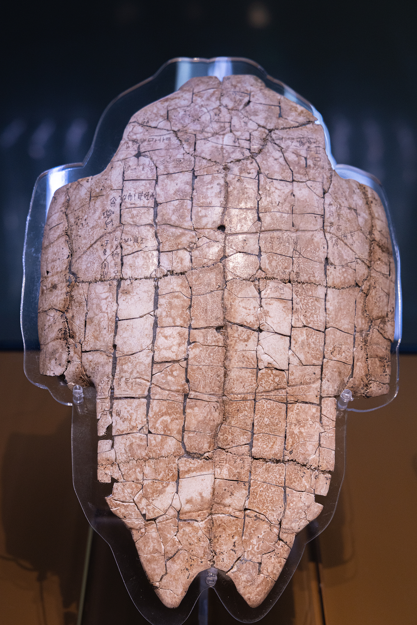 Oracle bones: How the Shang Dynasty communicated with heaven