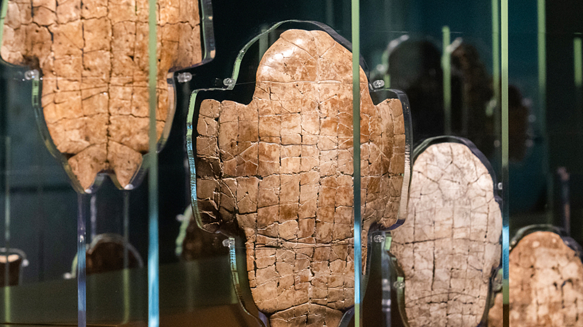 Oracle bones: How the Shang Dynasty communicated with heaven