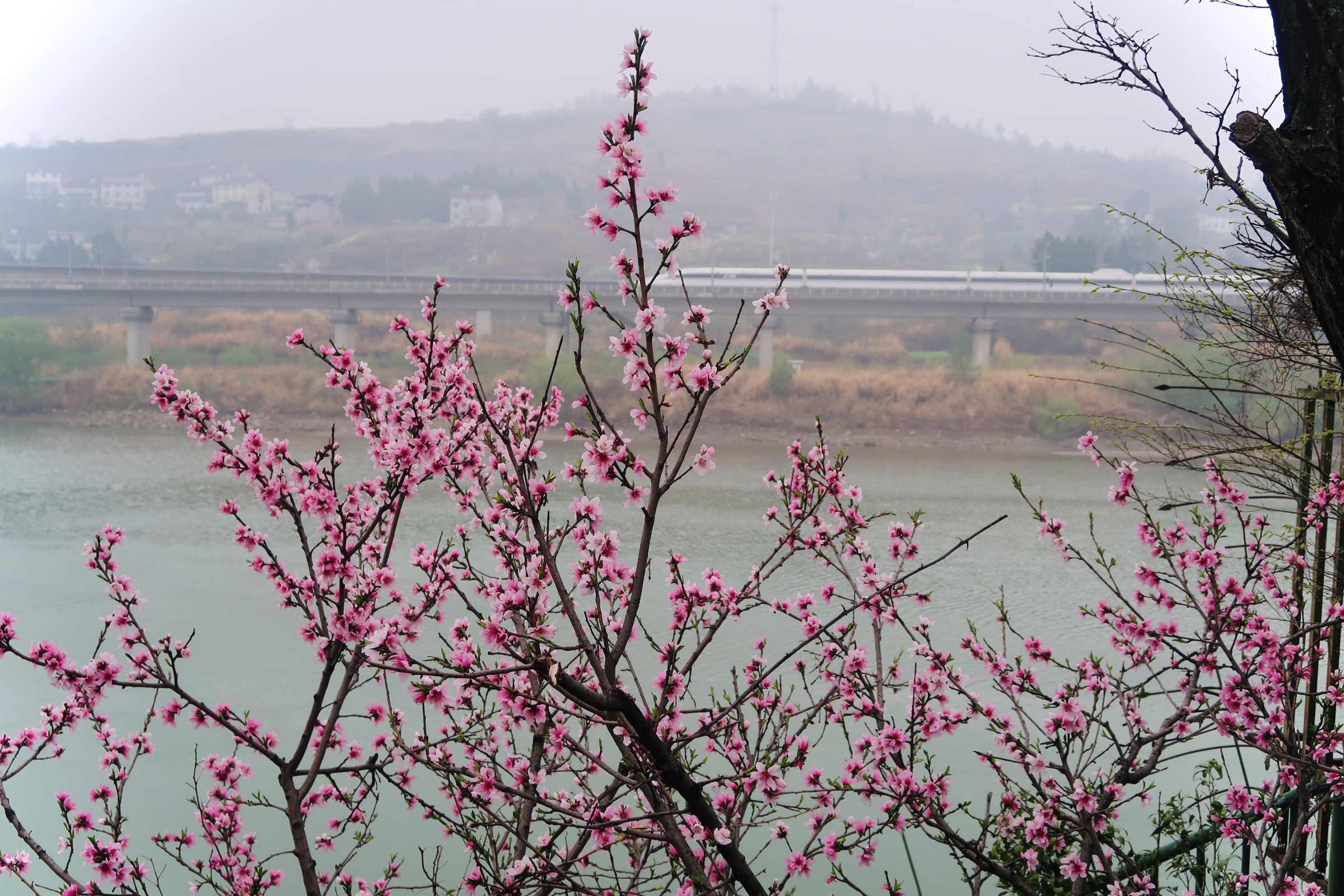 Our Long March：The Largest Grotto Complex in Sichuan