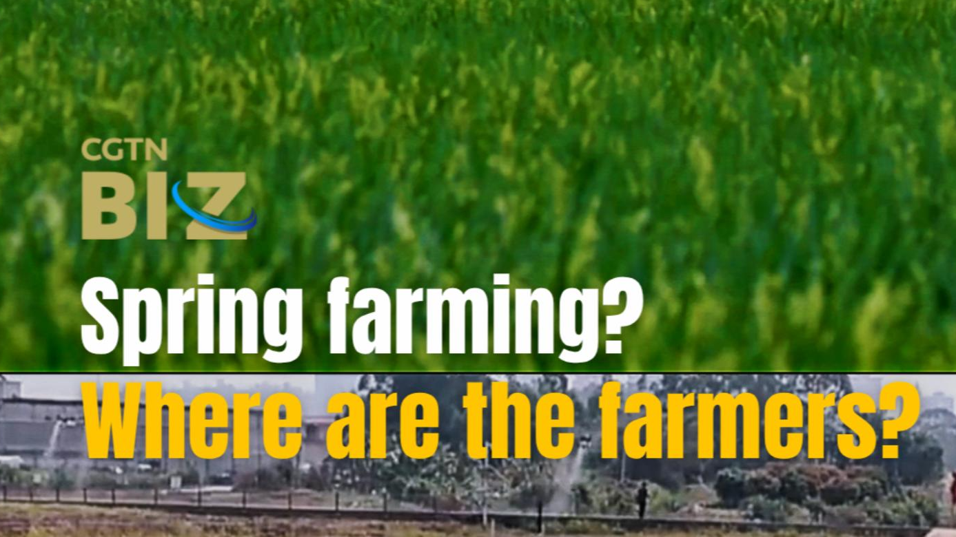 Spring farming? Where are the farmers?