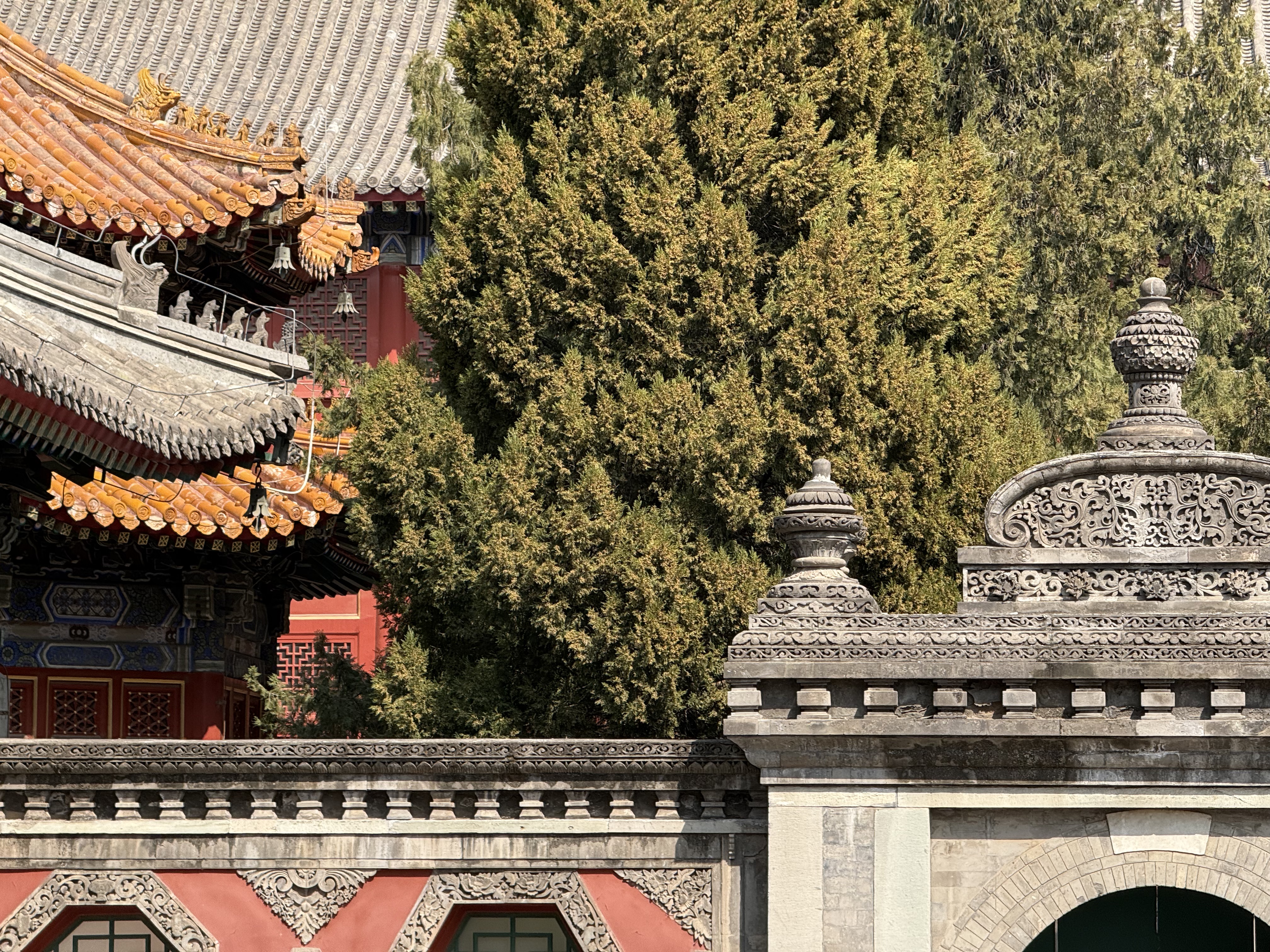 A view of Wanshou Temple on March 15, 2026 /CGTN