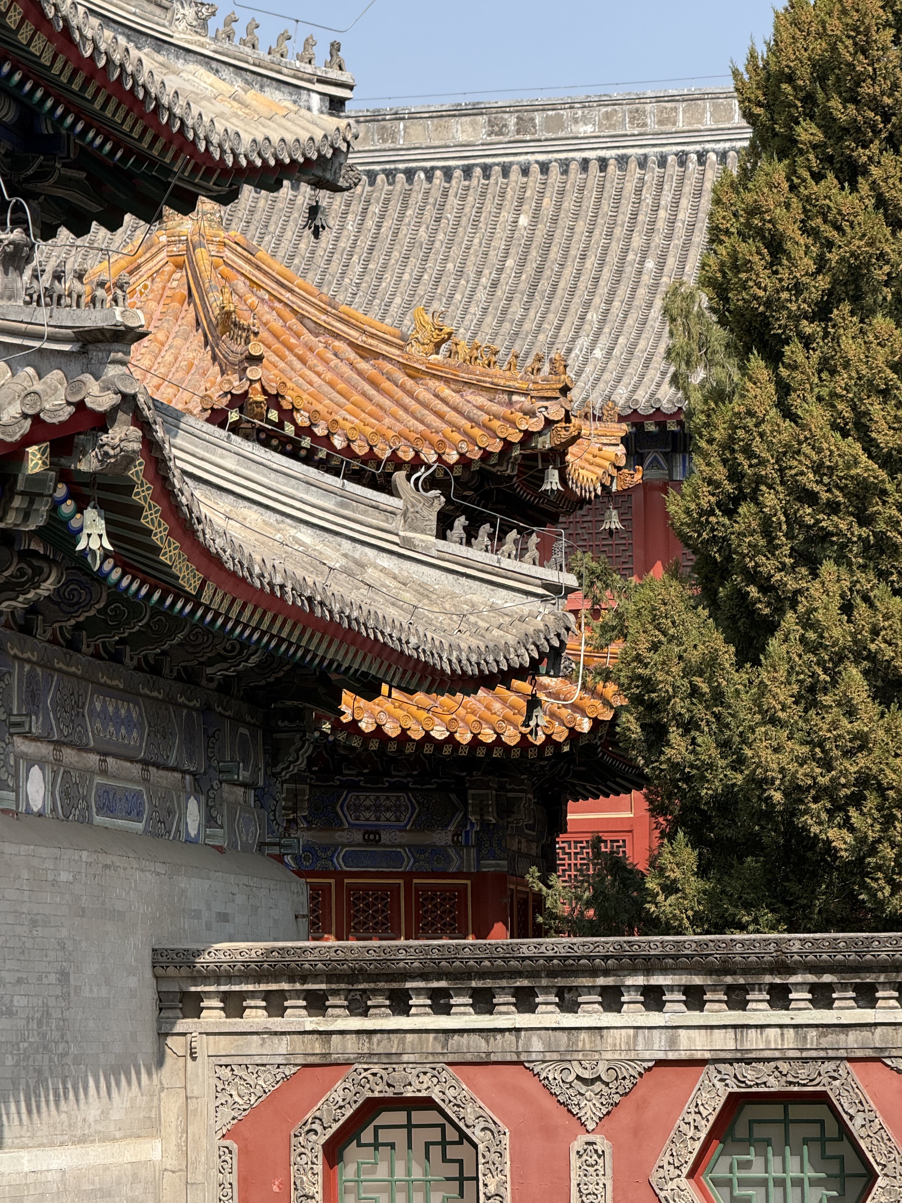 A view of Wanshou Temple on March 15, 2026 /CGTN