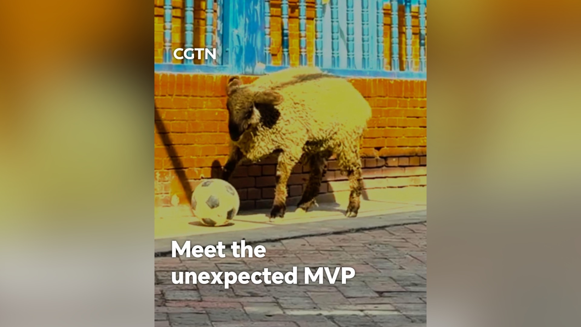  Meet the unexpected MVP