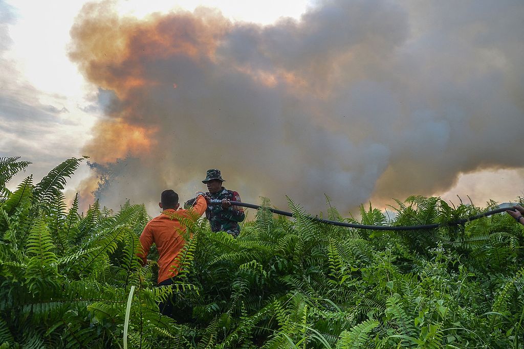 Members of the Joint Task Force on Forest and Land Fires fight a fire in Pekanbaru, Indonesia, July 31, 2025. /CFP