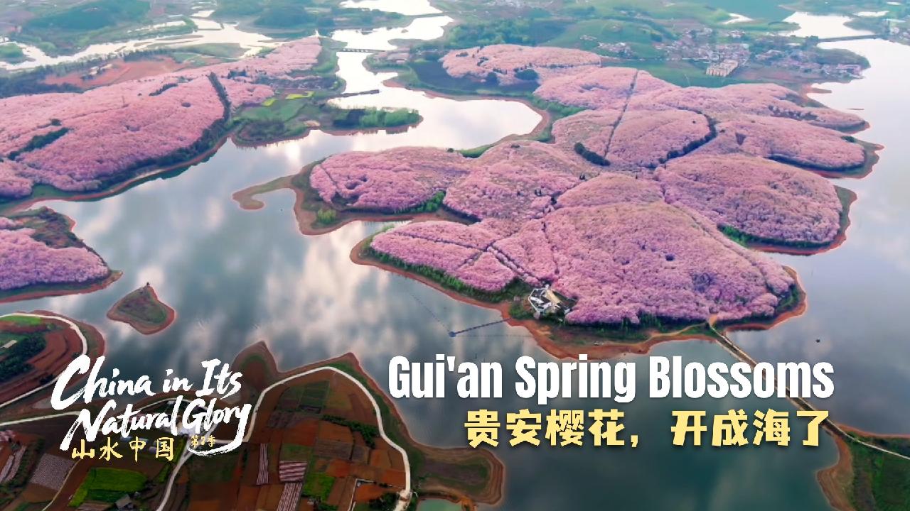 China in its Natural Glory II: Gui'an spring blossoms