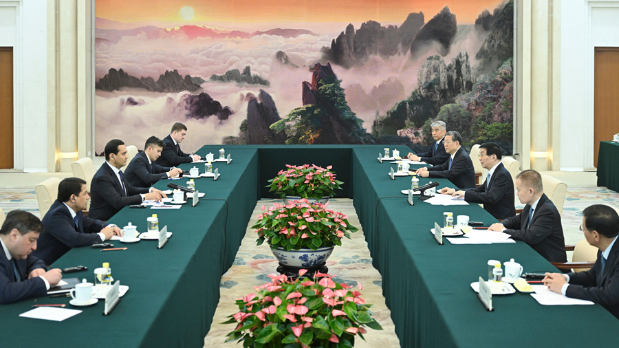 China's top political advisor meets Uzbek presidential advisor