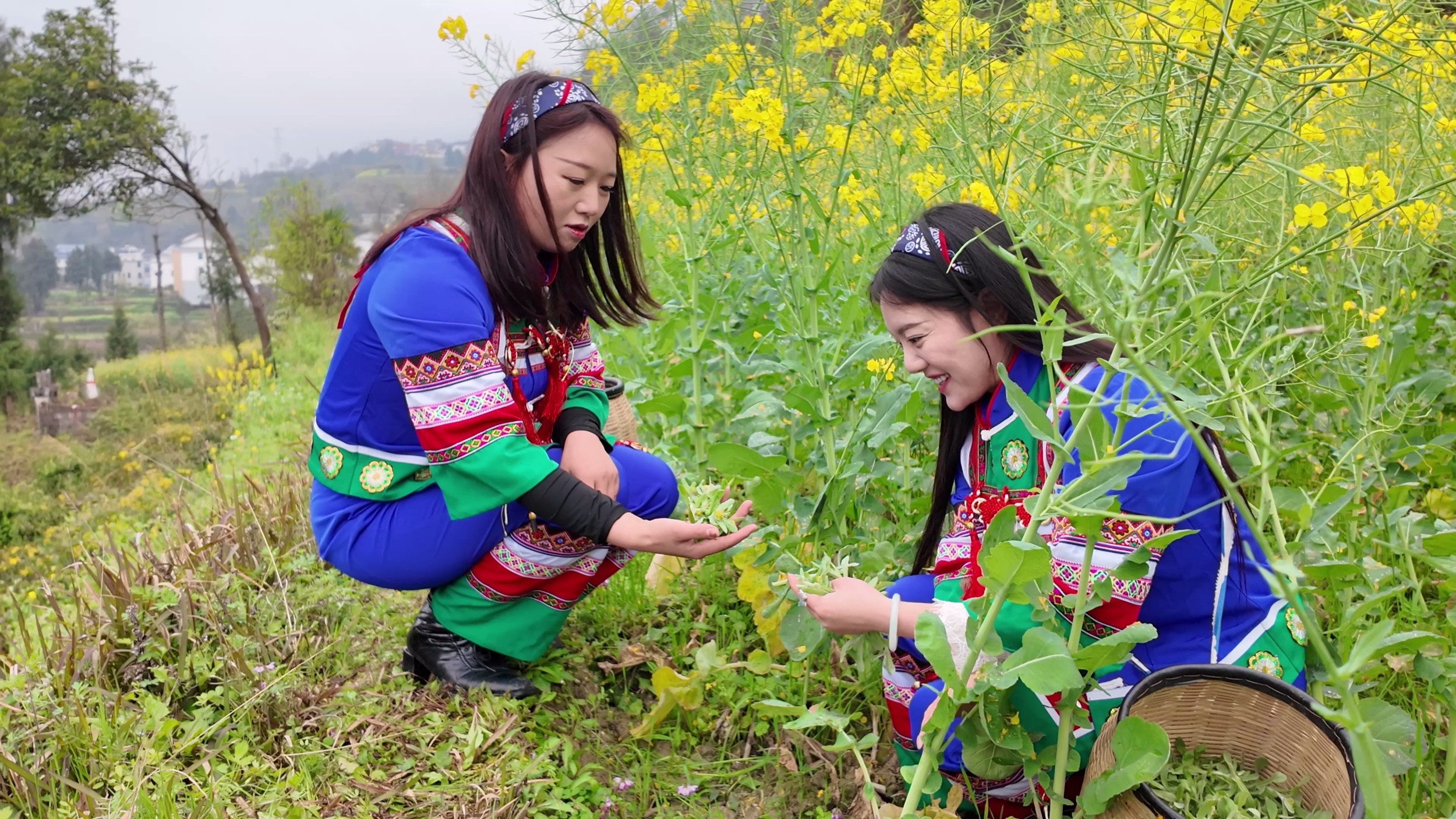 People pick wild vegetables to make Qingming cake in Sinan, southwest China's Guizhou Province on March 21, 2026. /Tongren Media Convergence Center