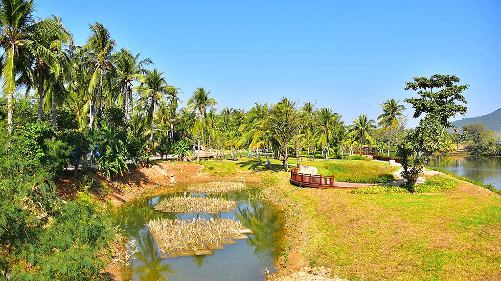 Ecological restoration at a local river in Sanya, Hainan shows promising results, January 8, 2026. /VCG