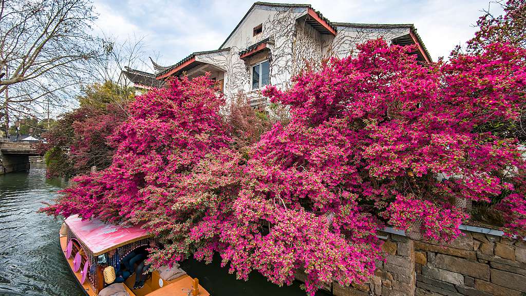 UN honors 3 Chinese cities for advancing sustainable waste management