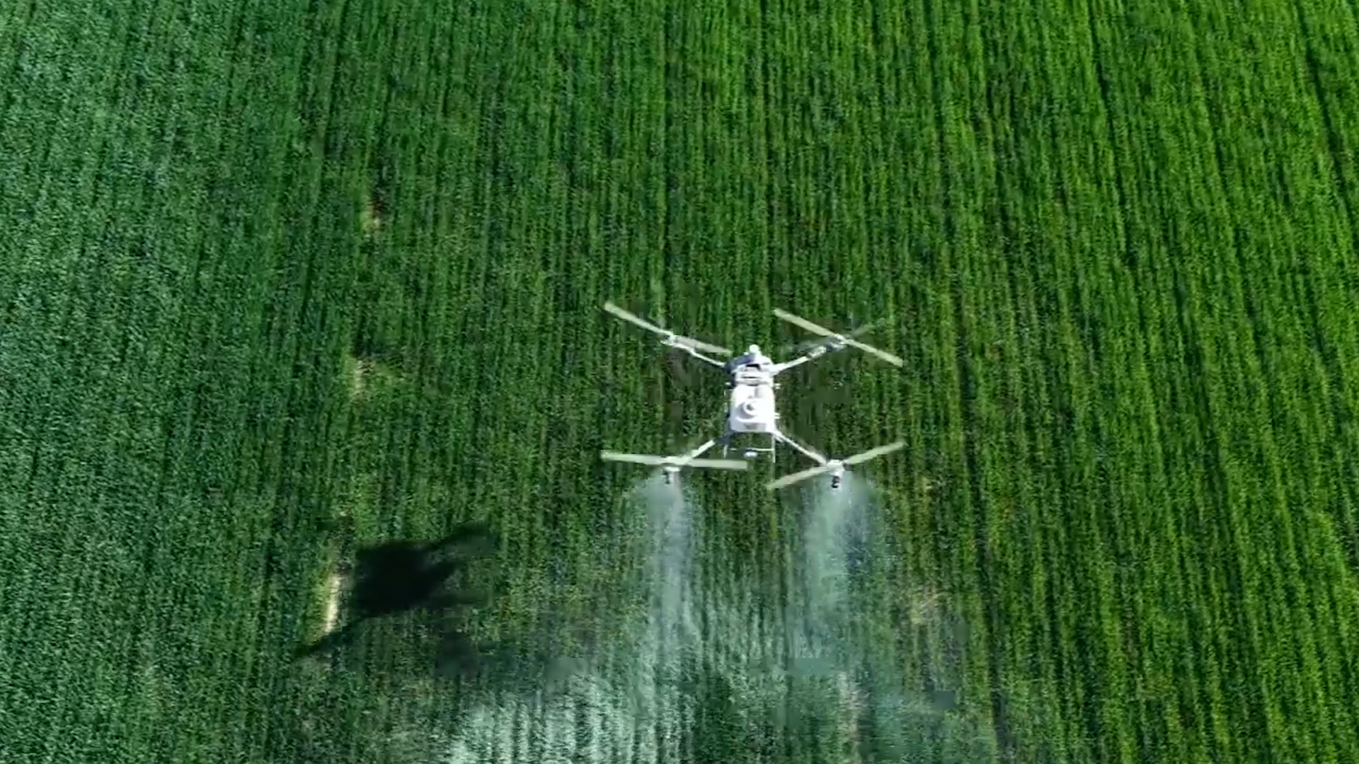 BeiDou-guided drones protect over 230,000 acres of wheat in China