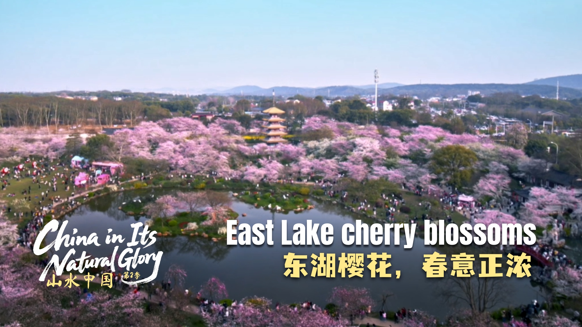 China in its natural glory II: East Lake cherry blossoms