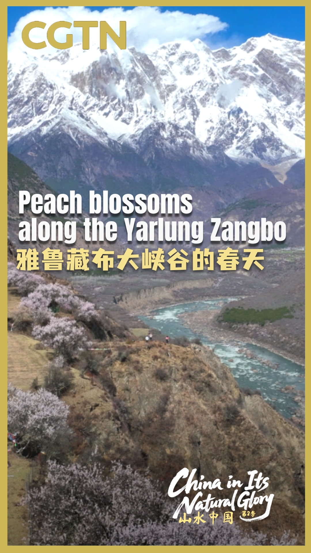 China in its natural glory II: Peach blossoms along the Yarlung Zangbo