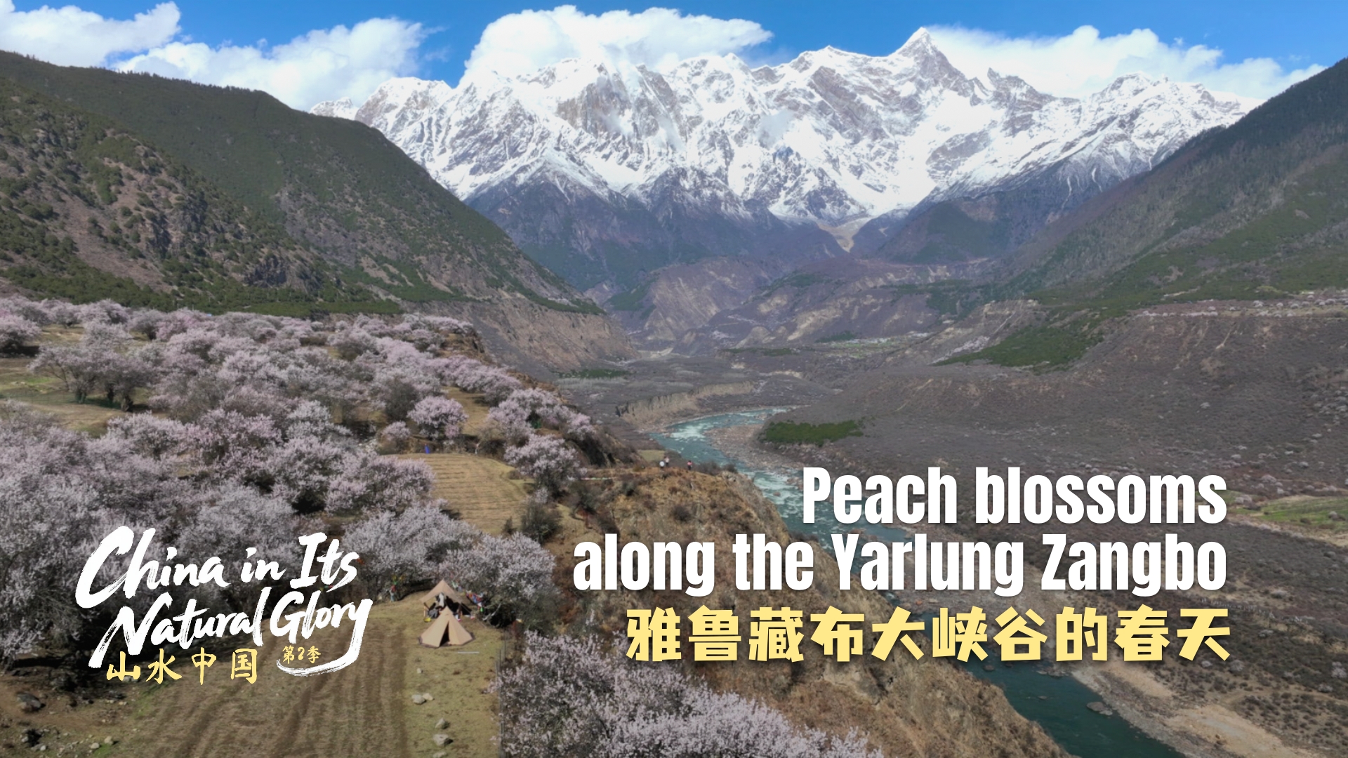 China in its natural glory II: Peach blossoms along the Yarlung Zangbo