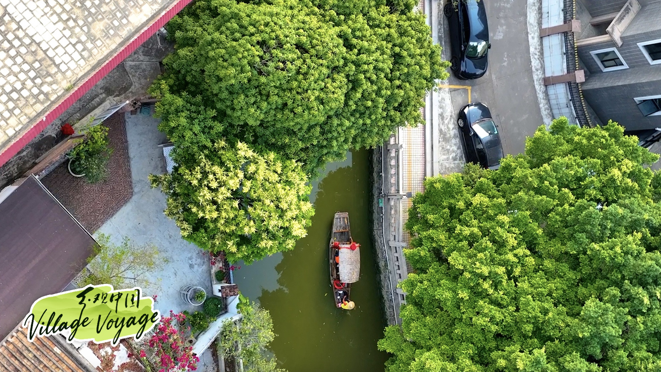 Shunde spring travel guide