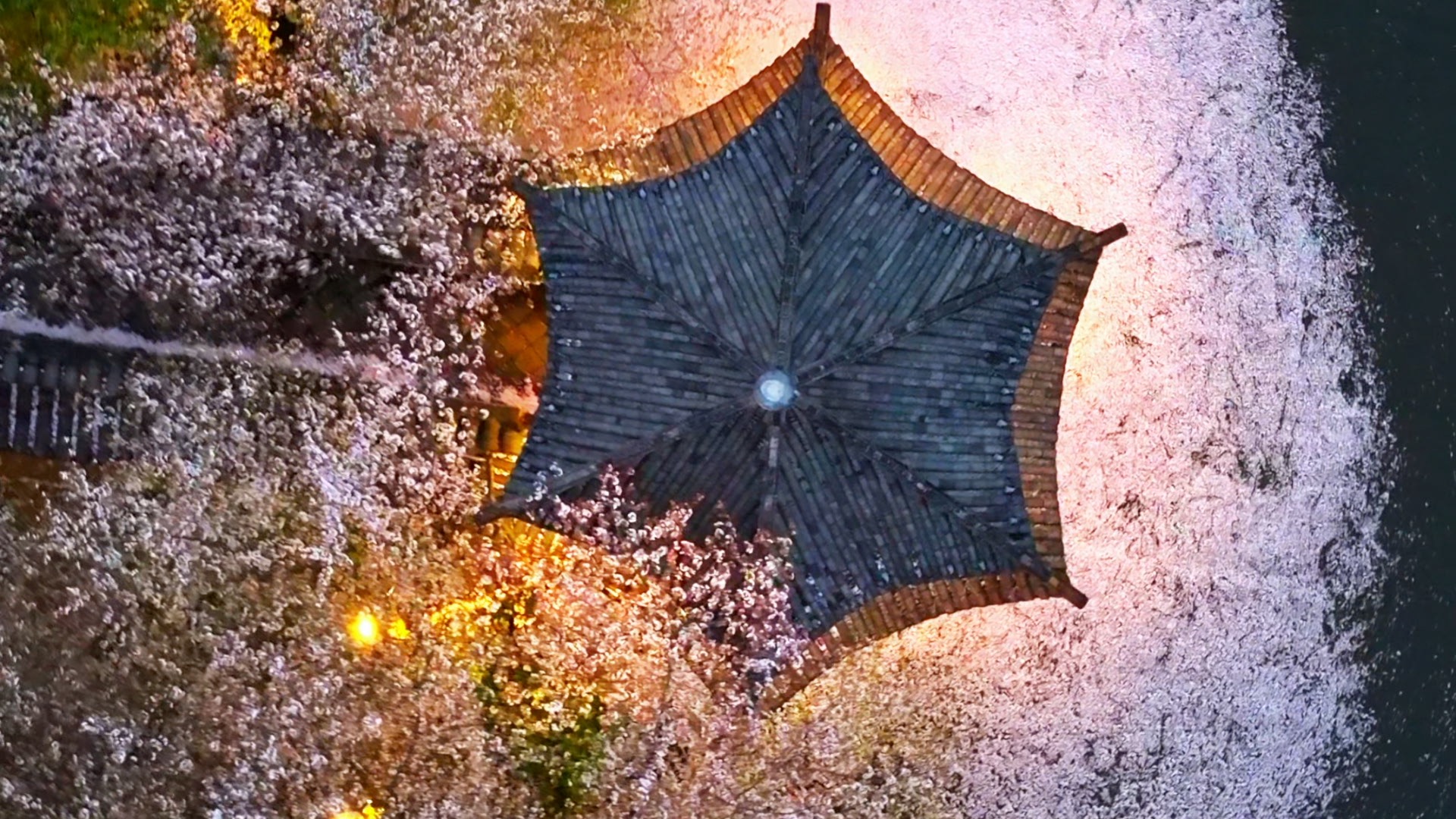 Roaming spring through China