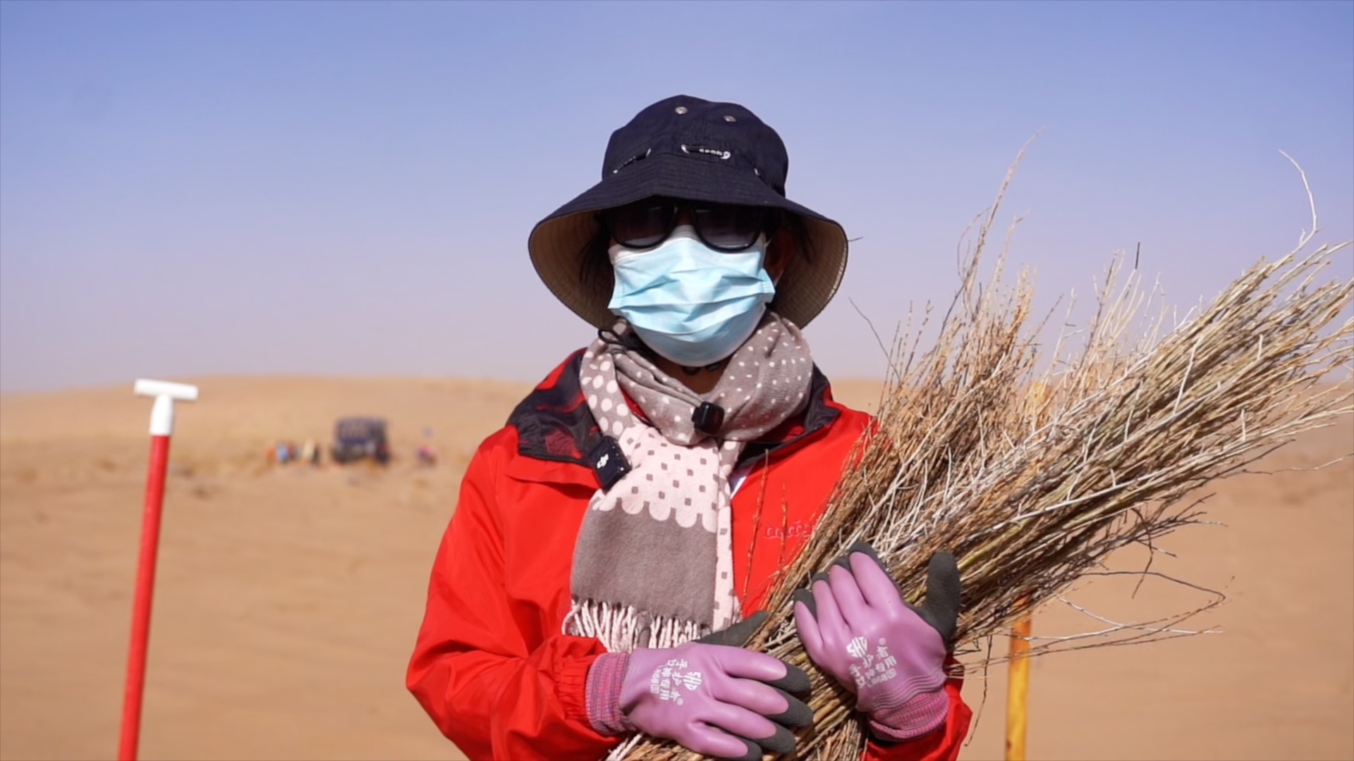A green transformation: How young Chinese volunteers restore a desert