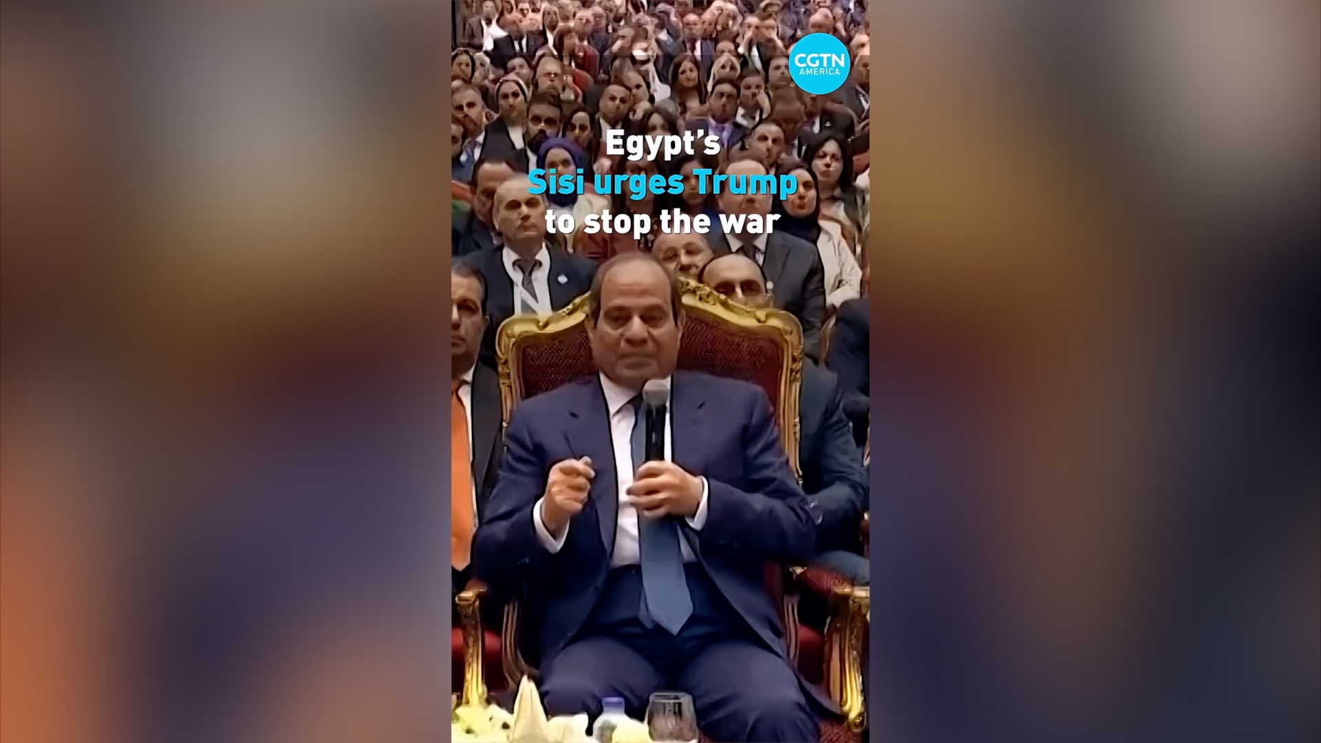 Egypt's Sisi urges Trump to stop Iran war, warns oil could hit $200