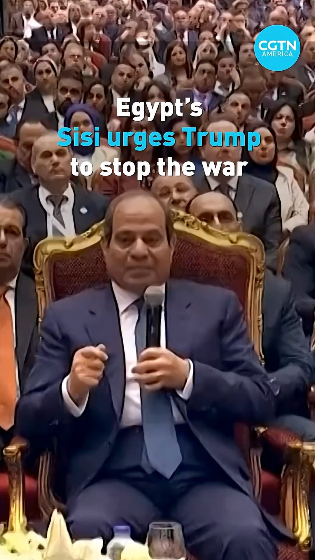 Egypt's Sisi urges Trump to stop Iran war, warns oil could hit $200