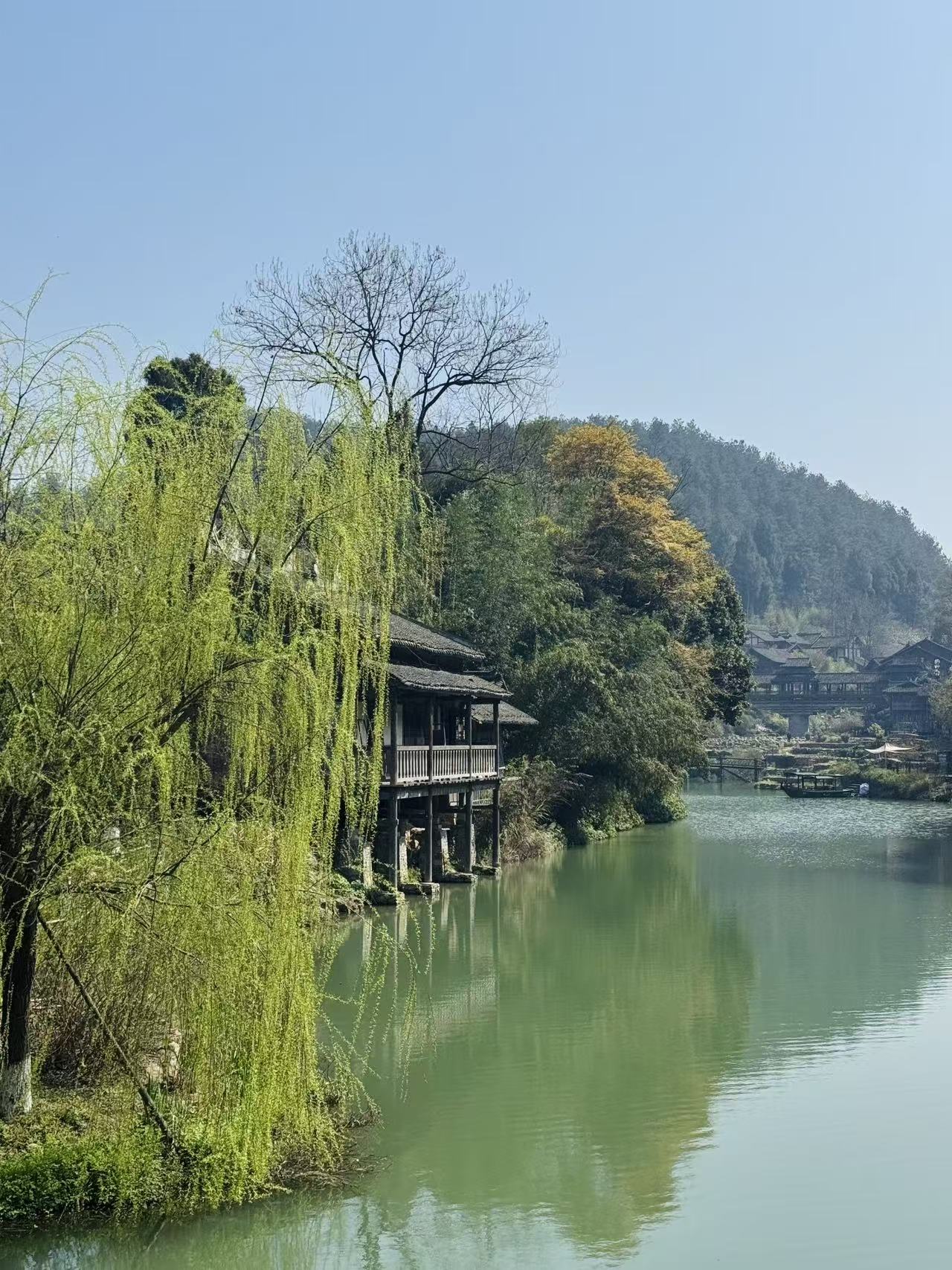 Rapeseed Flowers in Full Bloom in Wujiangzhai