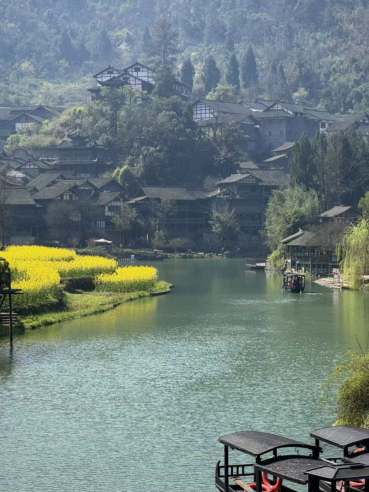 Rapeseed Flowers in Full Bloom in Wujiangzhai