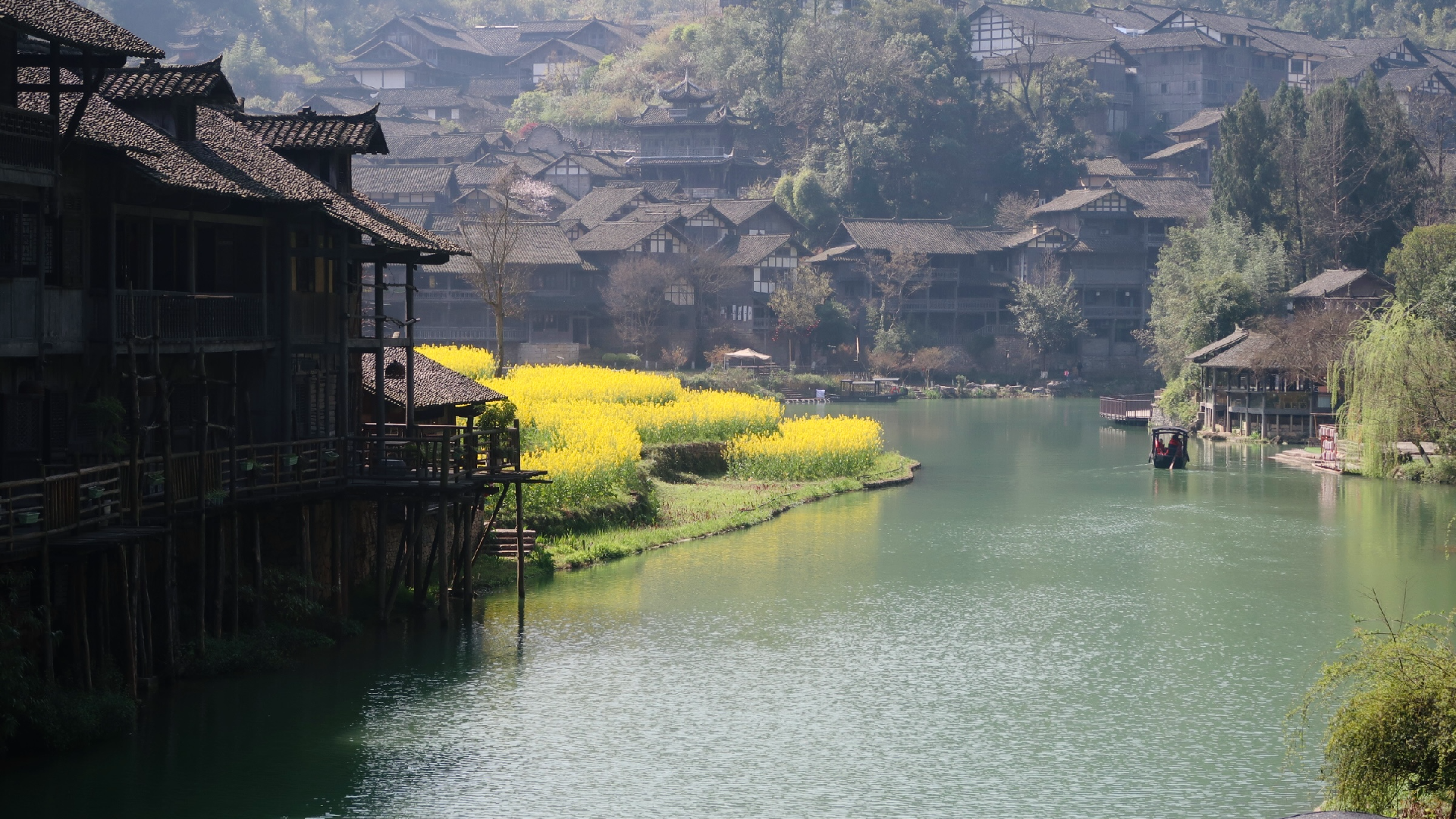Rapeseed Flowers in Full Bloom in Wujiangzhai