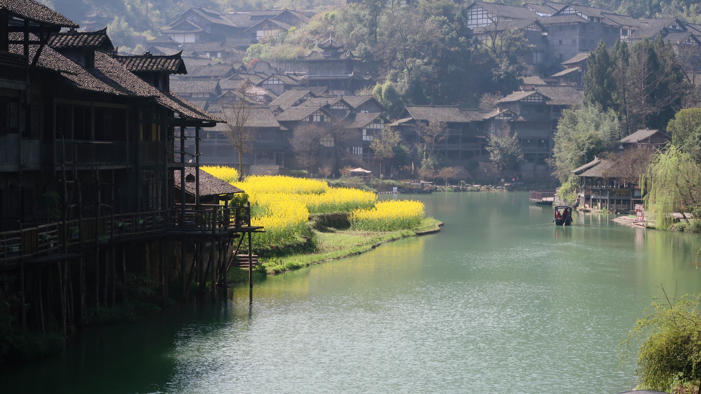 Rapeseed Flowers in Full Bloom in Wujiangzhai