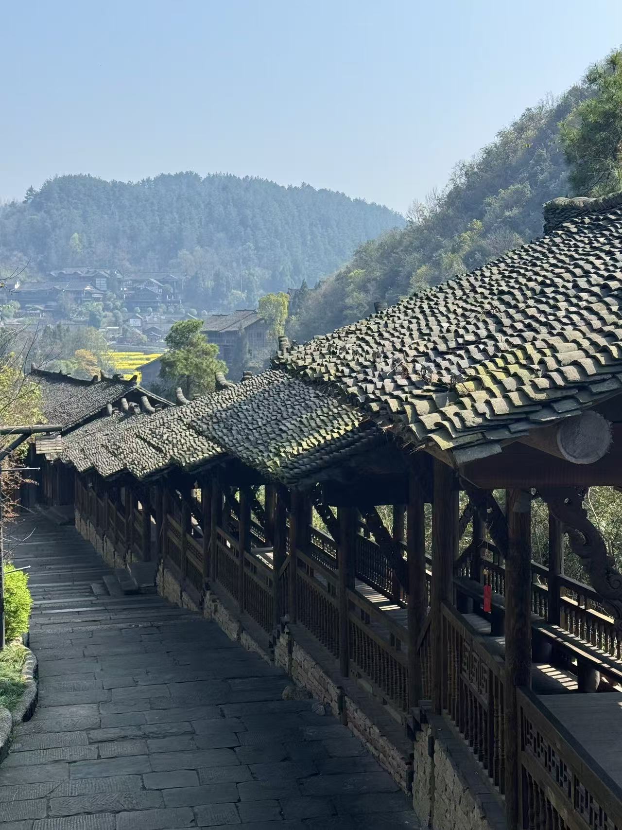 Rapeseed Flowers in Full Bloom in Wujiangzhai