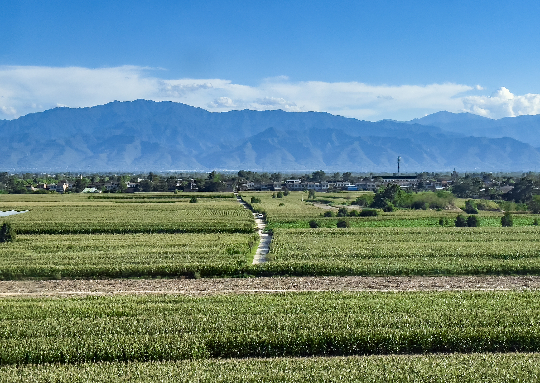 Fields by the Qinling Mountains in Xianyang, Shaanxi Province, northwest China, August 18, 2025. /VCG