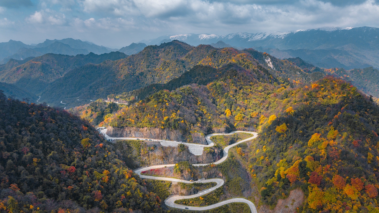 Report shows improving ecology in China's Qinling Mountains