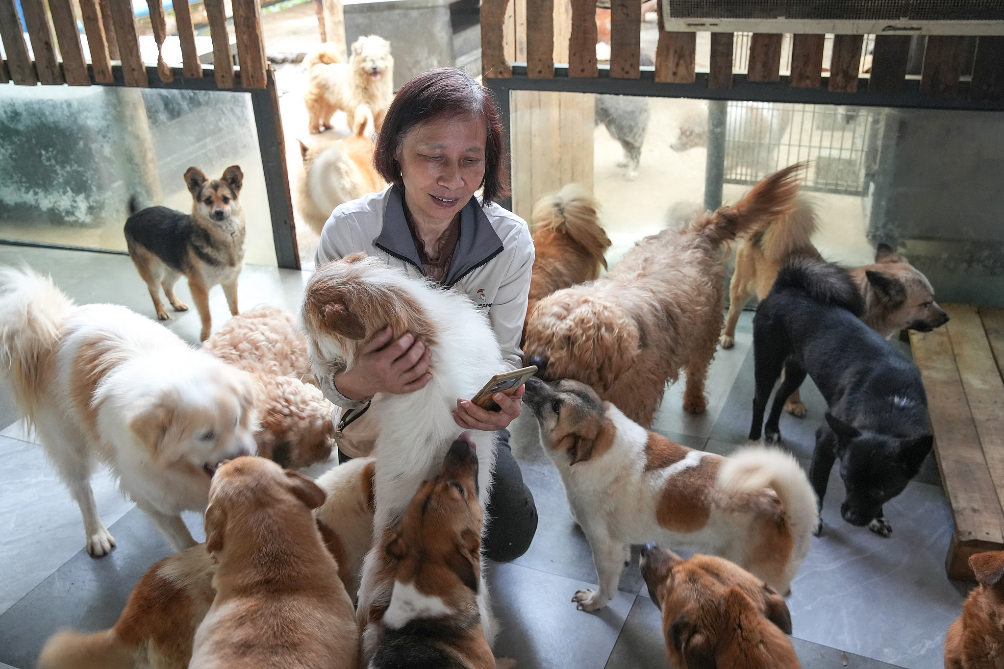 A home of love for 400 stray lives