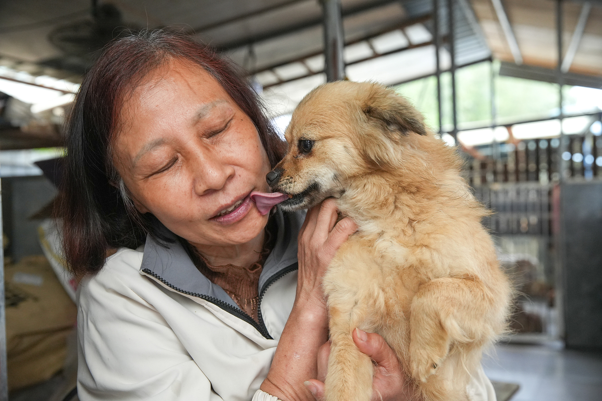 A home of love for 400 stray lives