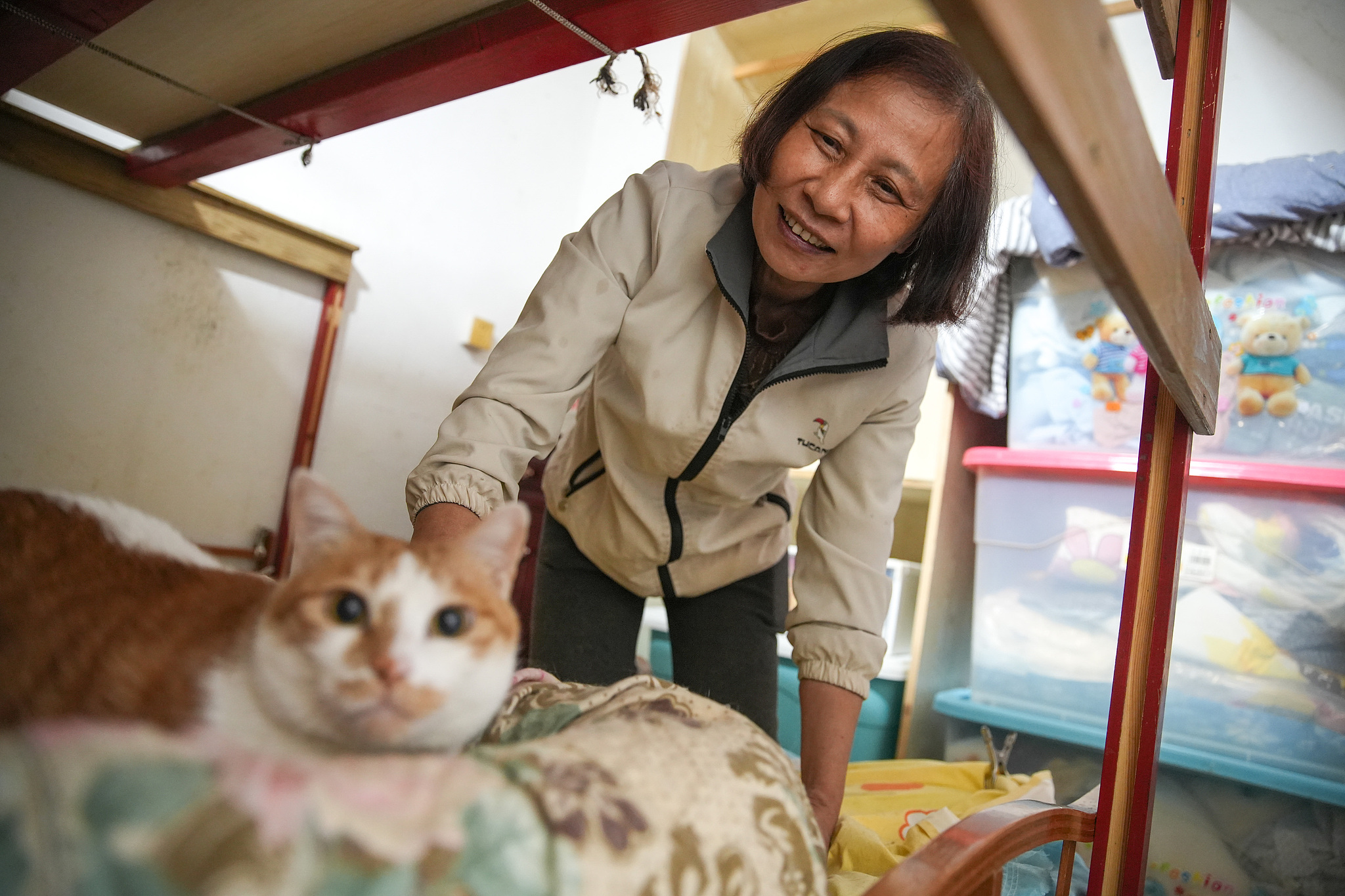 A home of love for 400 stray lives