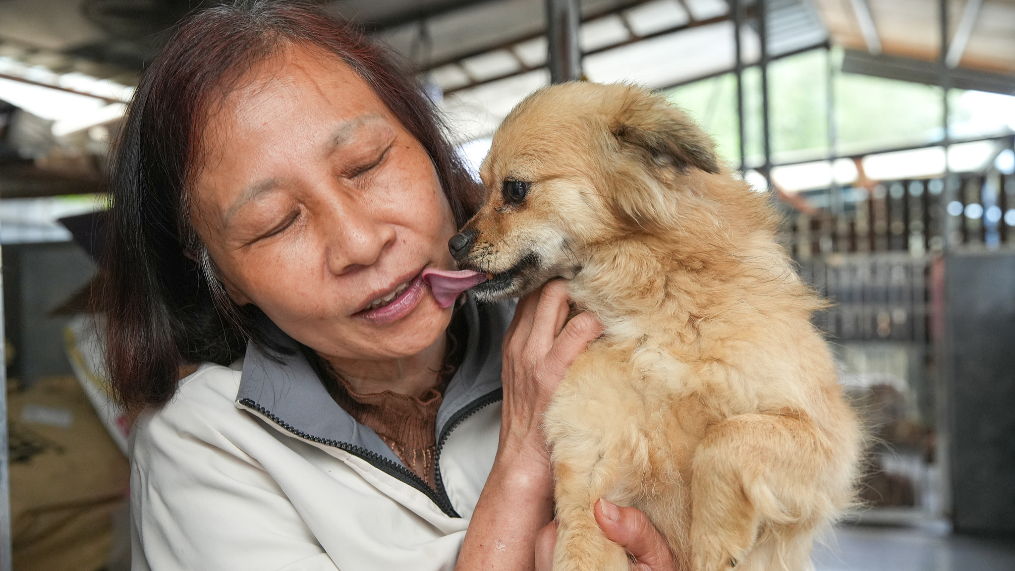 A home of love for 400 stray lives