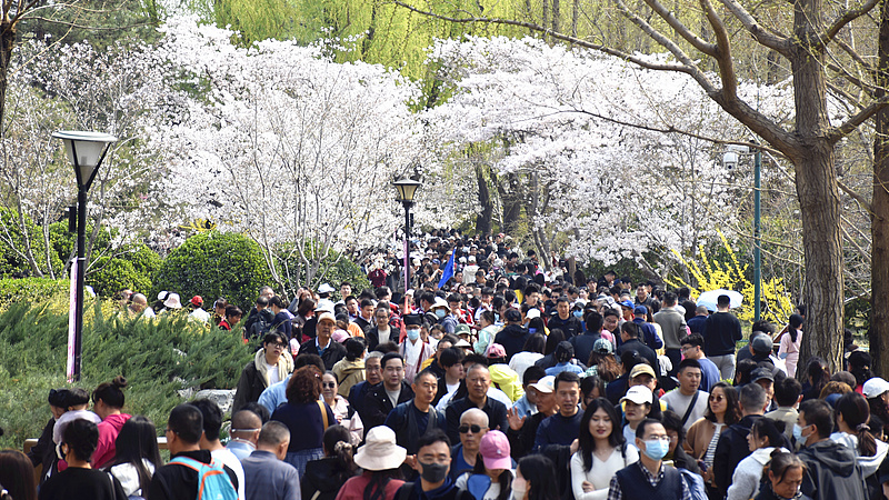 China braces for cross-border travel rush during Qingming holiday