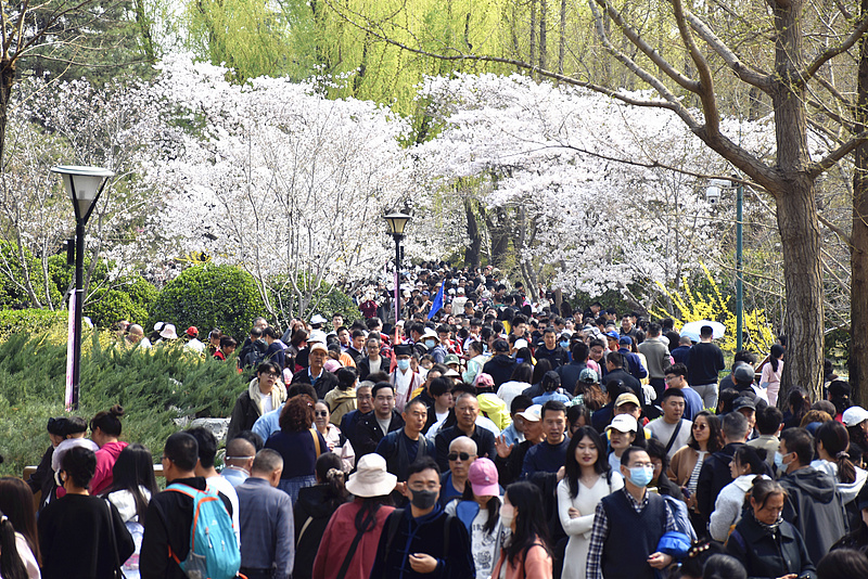 A view of Yuyuantan Park in Beijing, capital of China, March 28, 2026. /VCG