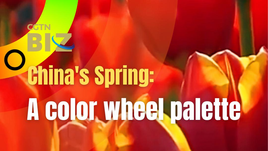 China's spring: A color wheel palette