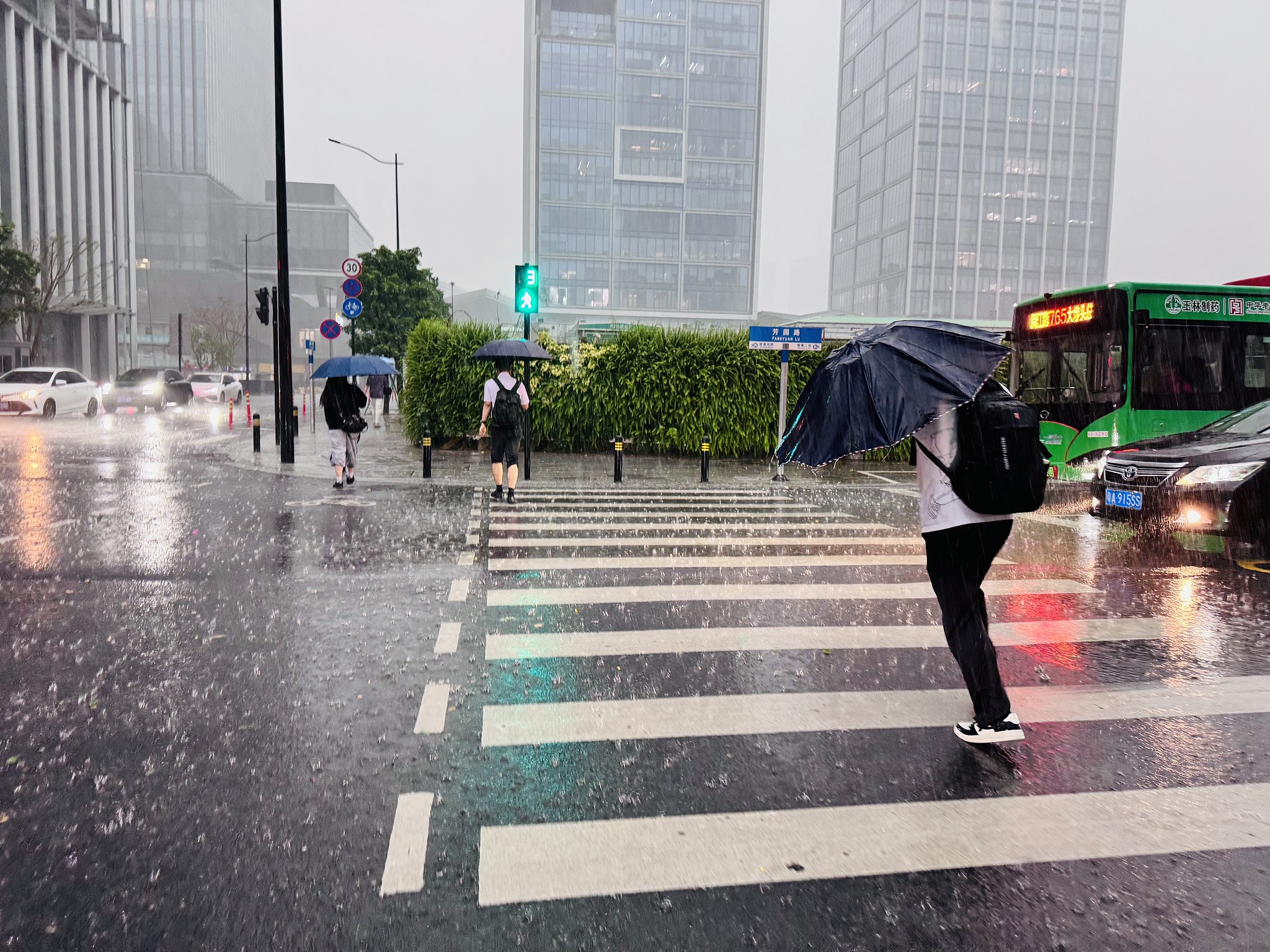People walk through heavy rain and strong winds in Guangzhou, Guangdong Province, south China, March 30, 2026. /VCG
