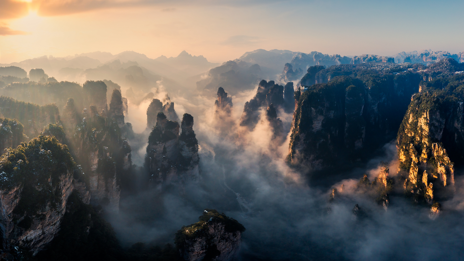 Scientists identify central China as new global biodiversity hotspot