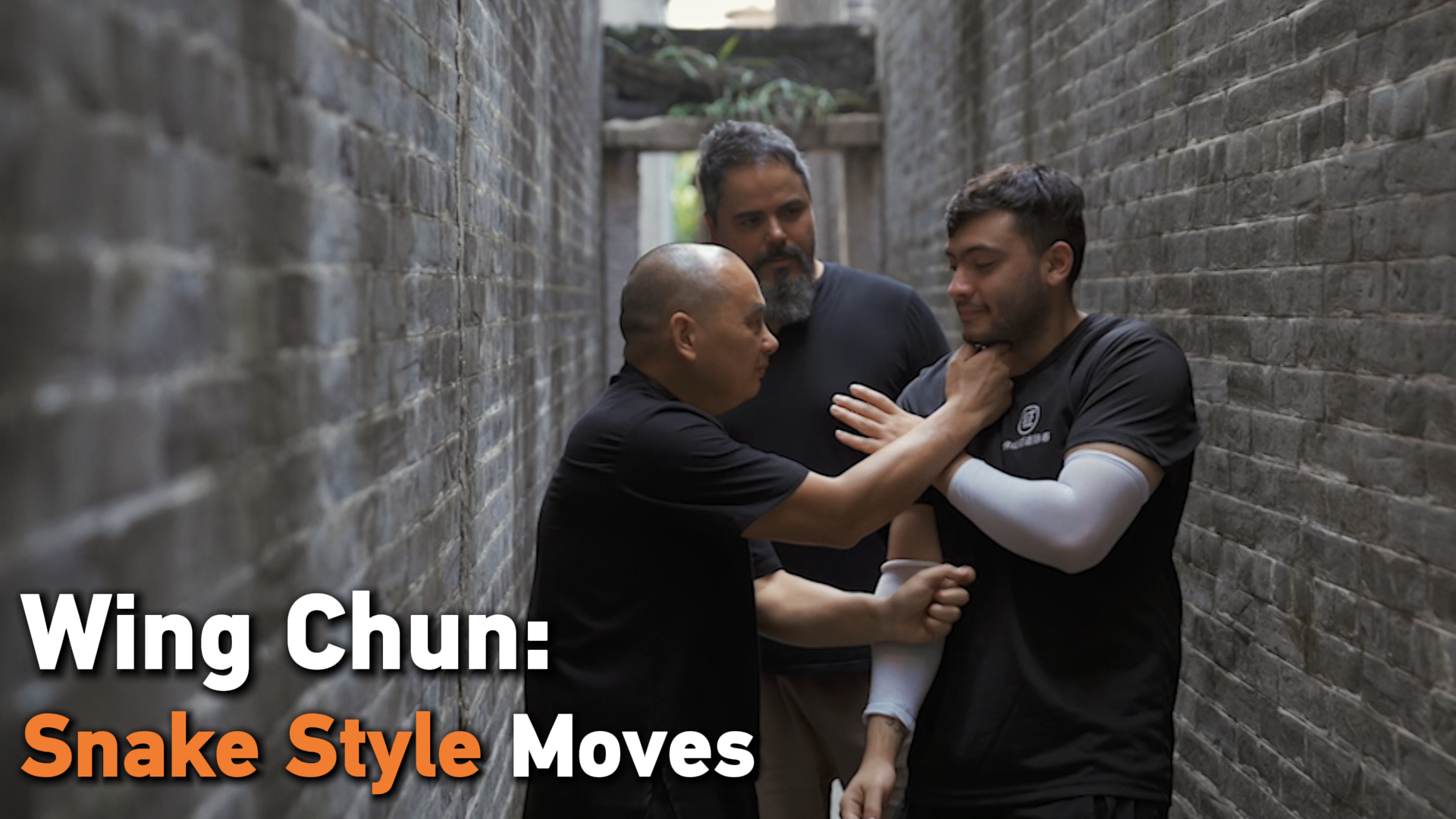 The snake-style moves of Wing Chun