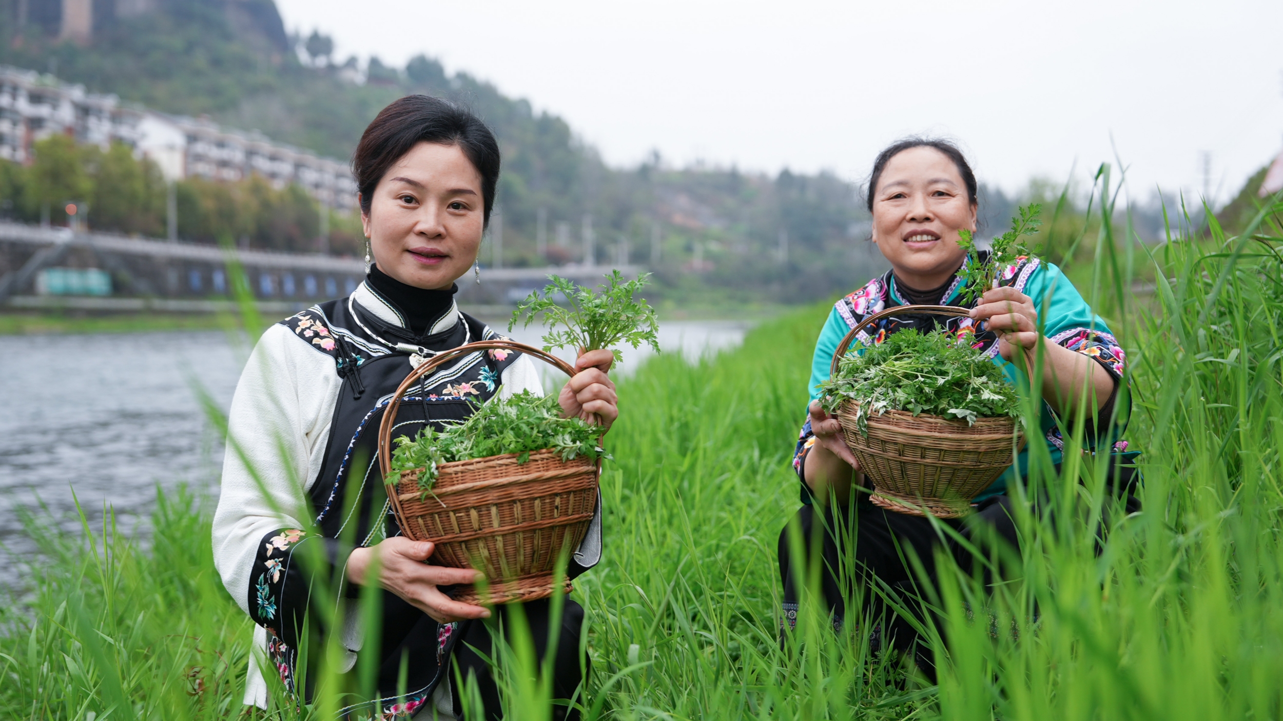People pick mugwort to make shefan in Tongren, southwest China's Guizhou Province, on March 25, 2026. /Tongren Media Convergence Center