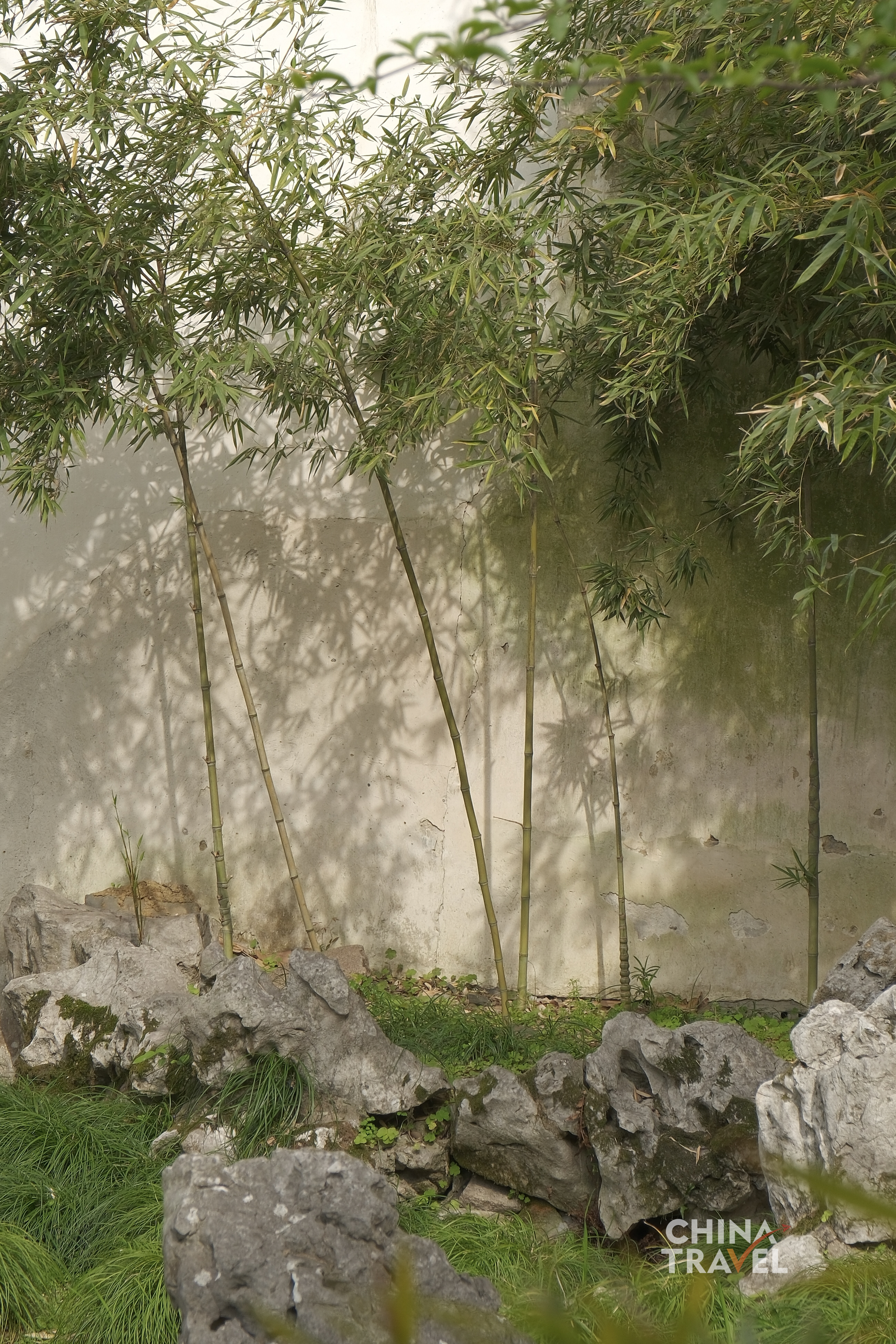 Framed by windows, doorways and rock arrangements, Suzhou's gardens reveal a delicate balance between nature and design. /CGTN