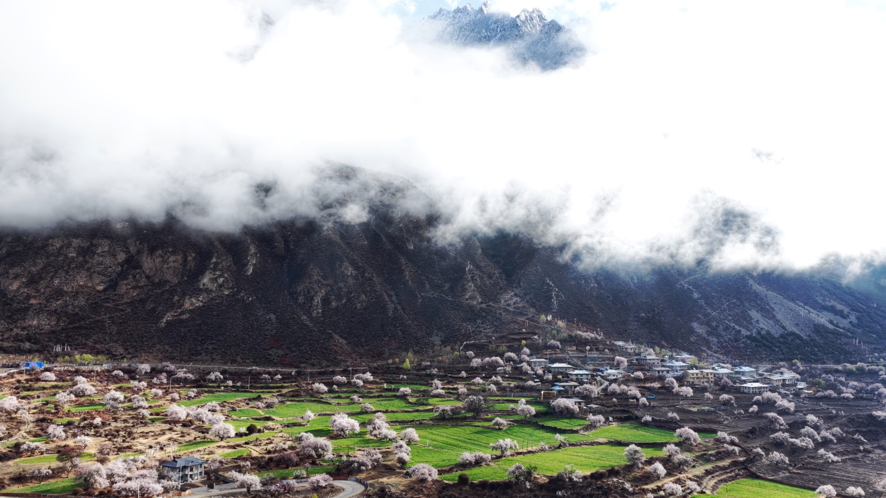 Niwu, Xizang: Where mist-shrouded peaks give way to blossoming spring